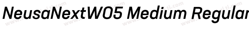 NeusaNextW05 Medium Regular字体转换